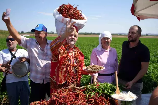 Edirne'nin Meşhur Karaağaç Acı Biberi Hasadı Başladı