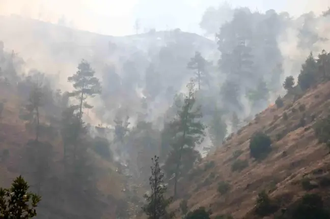 Kahramanmaraş'ta çıkan yangın ormana sıçradı