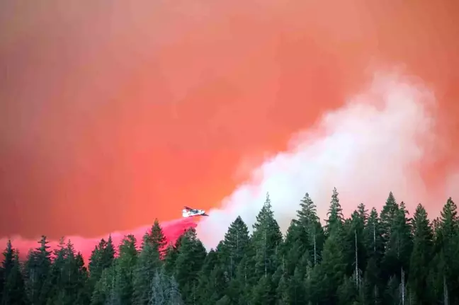 ABD'de California'da Orman Yangını Yayılıyor