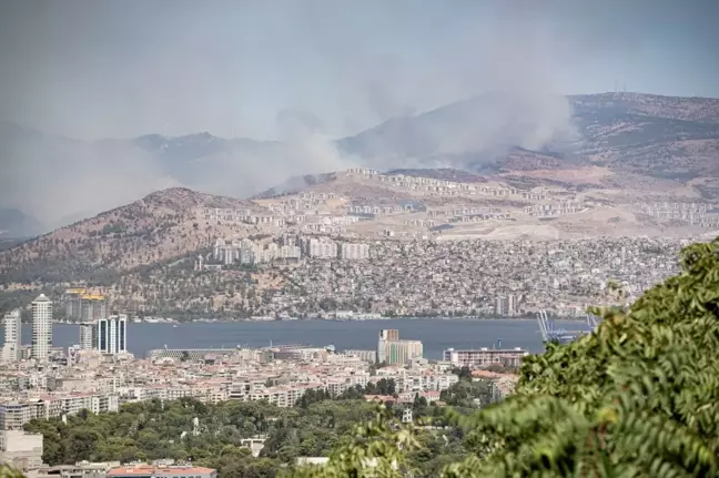 İzmir'deki Orman Yangınında Barınaklardaki Hayvanlar Tahliye Edildi