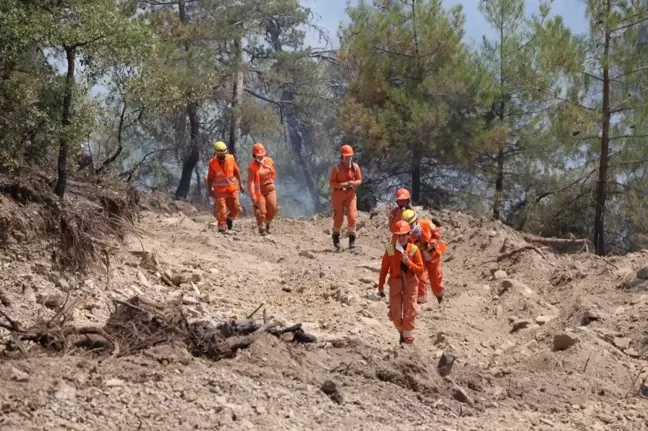 Bolu'daki Orman Yangını Kontrol Altına Alındı