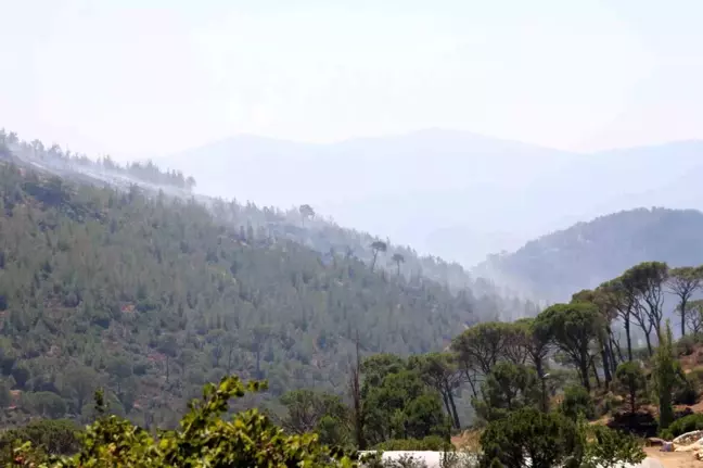 Aydın'da devam eden orman yangınına ekipler müdahale ediyor