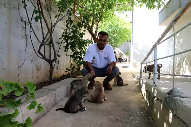 Hayvansever İbrahim Göçer, İtfaiye Ekipleriyle Birlikte Sıkışan Yavru Köpekleri Kurtardı