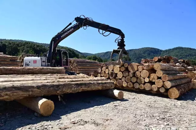 Sinop'ta Karadeniz Bölgesi'nin En Büyük Orman Deposu Açıldı