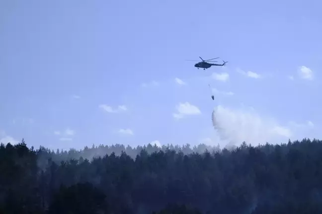 Ankara'da çıkan orman yangını Bolu'ya sıçradı