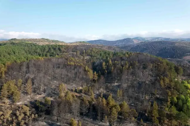 Ankara-Bolu il sınırında çıkan yangın dron ile havadan görüntülendi