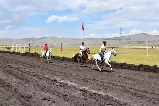 Ardahan'da Geleneksel Rahvan Atları Yarışları'nda Final Heyecanı