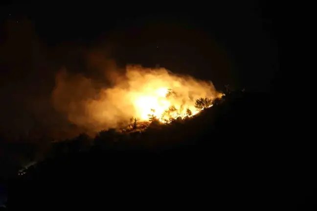 Hatay'da orman yangınına karadan müdahale başladı