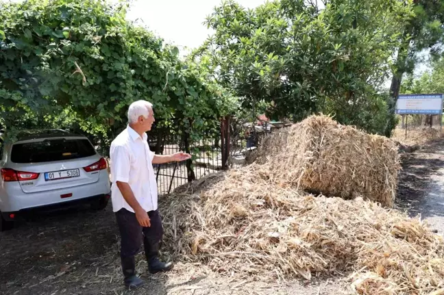 Kozan'da Evlere Düşen Mısır Samanı Balyaları Vatandaşı İsyan Ettirdi