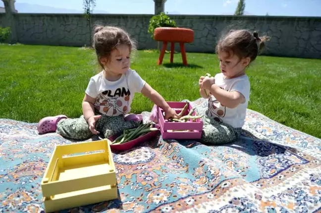 Erzincan'da yaşayan çift yumurta ikizleri sosyal medyada fenomen oldu