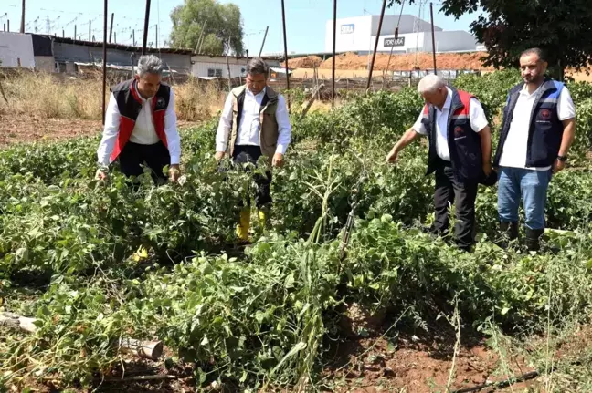 Bilecik'te sel felaketi ve dolu zararı tespit çalışmaları yapıldı