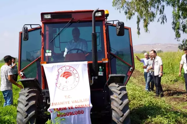 Osmaniye'de Yer Fıstığı Hasadı Başladı