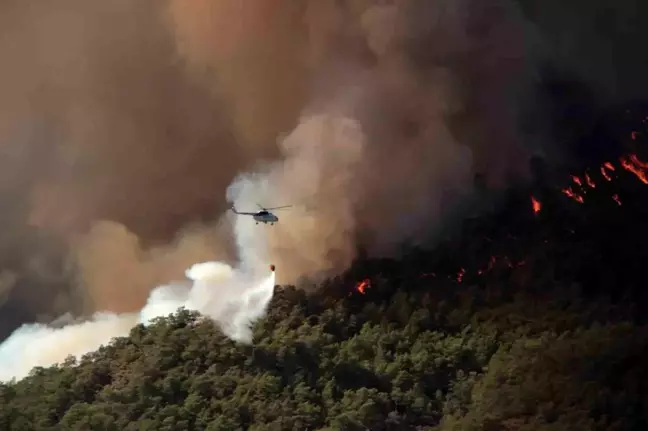 Muğla'da Yaz Aylarında 385 Orman Yangını Çıktı