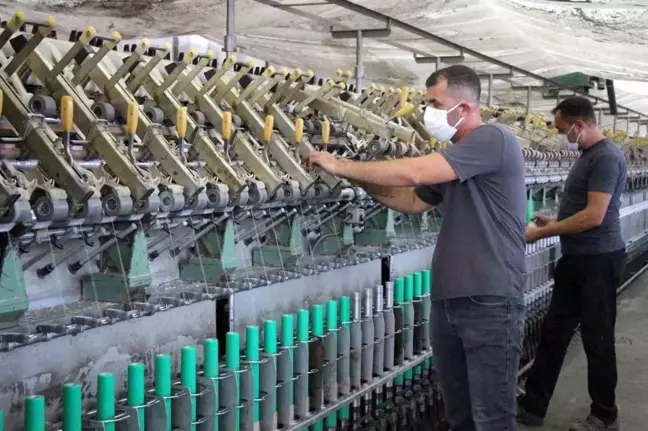 Gümüşhacıköy Kenevir Fabrikası, 40 Yıl Aradan Sonra Yeniden Faaliyete Geçti