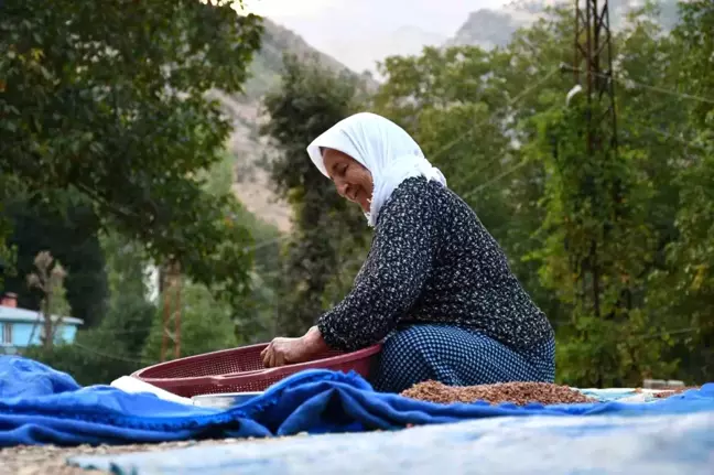 Şırnak'ta Aile Sumağı Kurutup Satıyor