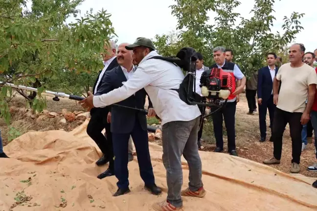 Besni'de Antepfıstığı ve Badem Hasat Etkinliği Düzenlendi