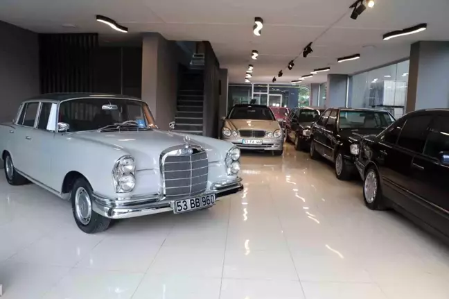 Rize'de Genç Girişimci Eski Mercedes Araçlarıyla İş Kurdu