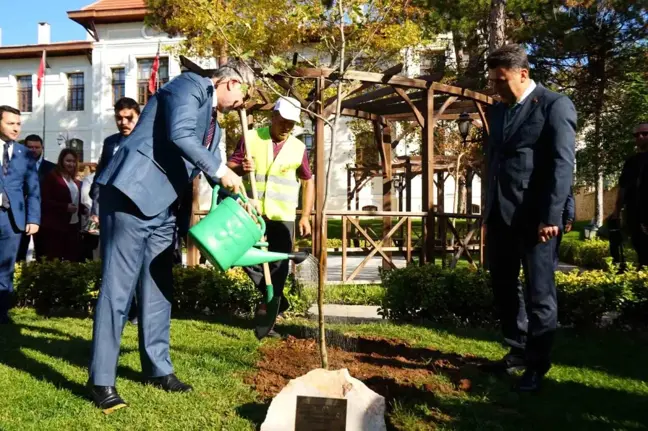 Bakan Vedat Işıkhan Bilecik'te Çınar Fidanı Dikti