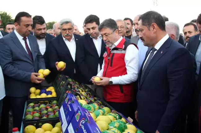 Tarım ve Orman Bakanı Yumaklı, Hatay'da Narenciye Hasadının Sezonunu Açıkladı