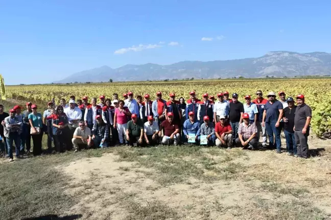 Söke'de Yerli Ayçiçeği Tohumu Dağıtımı ve Hasat Değerlendirmesi