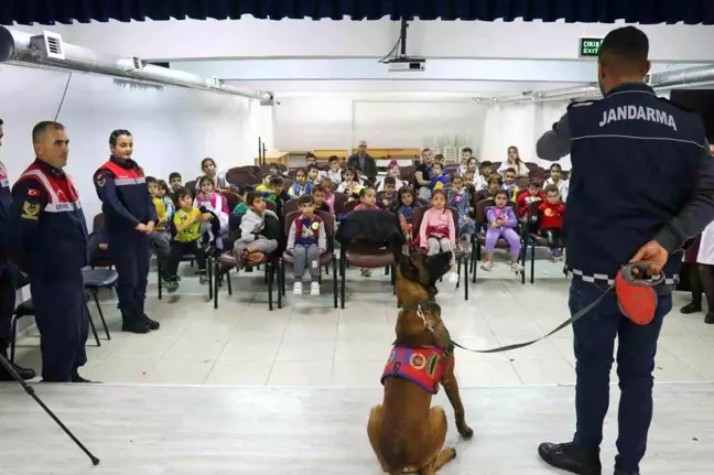 Eskişehir'de Hayvanları Koruma Günü Etkinliği Düzenlendi