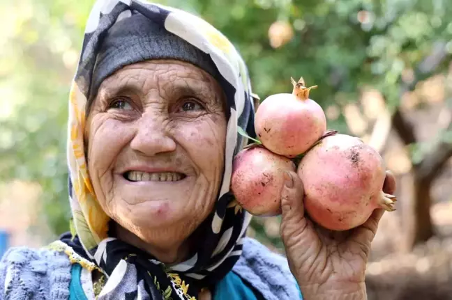 Adana'da Kuytucak Narında Hasat Başladı