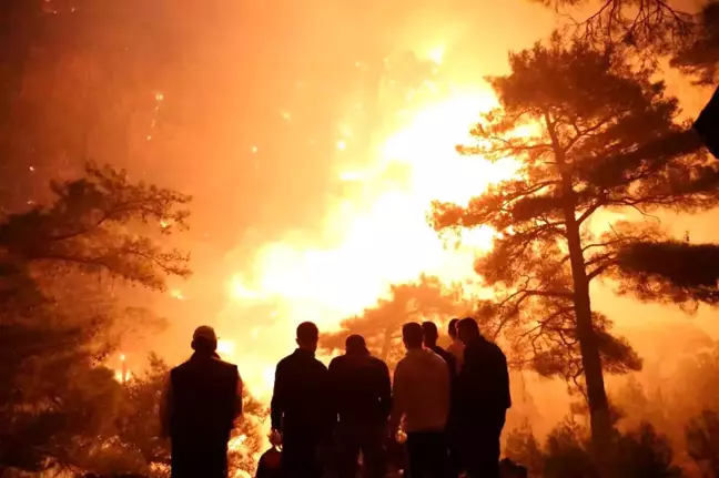 Muğla'nın Dalaman İlçesinde Orman Yangını Devam Ediyor