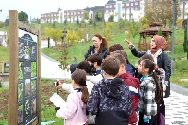 Düzce Üniversitesi Botanik Bahçesi'nde Öğrencilere Eğlenceli ve Eğitici Ziyaret