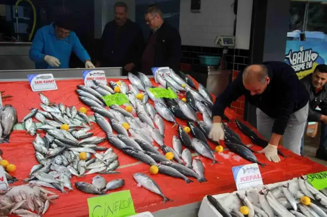 Karadeniz'de Olumsuz Hava Şartları Balık Fiyatlarını Yükseltti