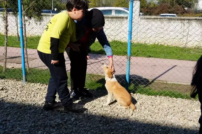 Düzce'de Rehabilitasyon Merkezinden Sahiplendirilen Köpek Yavrusuna 'Yumak' Adı Verildi