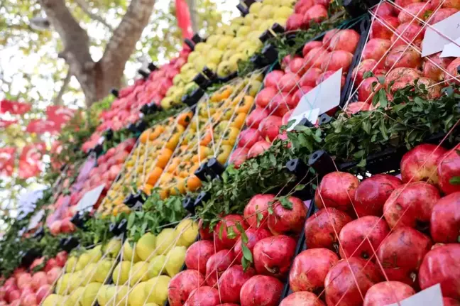 Bilecik'te Geleneksel Nar Hasat Şenliği Coşkuyla Kutlandı