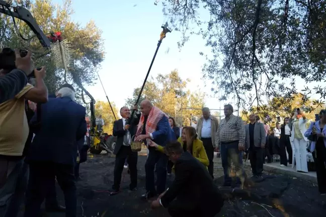 19. Ayvalık Uluslararası Zeytin ve Turizm Festivali'nde Bin Yıllık Zeytin Ağaçlarından Zeytinyağı Üretimi