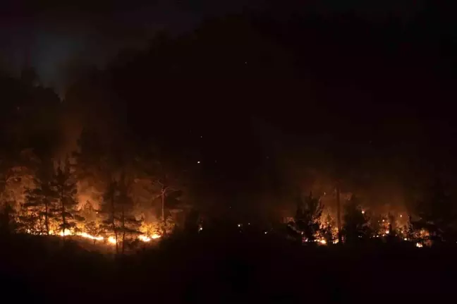 Bursa ve Balıkesir'de Orman Yangınına Hızla Müdahale Devam Ediyor