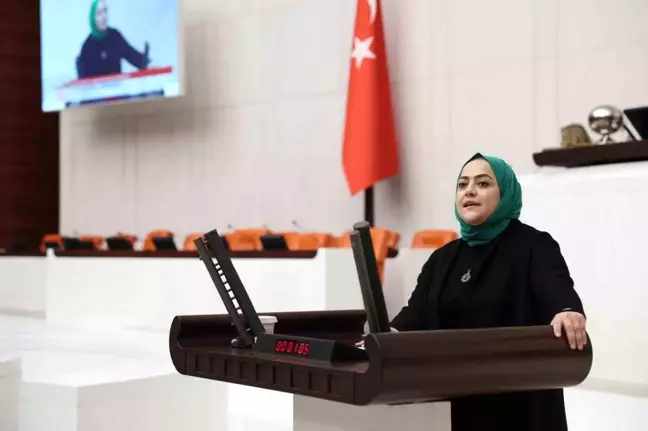 Sema Silkin Ün'den Kumar Eleştirisi: 'Kumarbaz Nesiller Yetiştirmeyin'