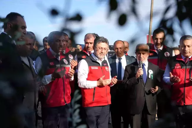 Tarım Bakanı Yumaklı, Kilis'te Zeytin Hasadına Katıldı