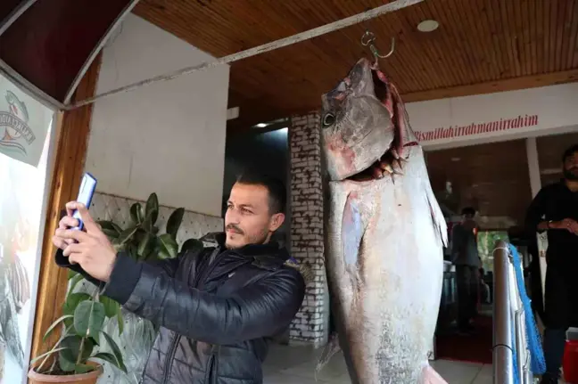 Kozan'da 55 Kilogram Ağırlığında Orkinos Yakalandı