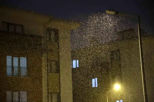 Elazığ'da Kar Yağışı Başladı