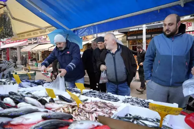 Hamsinin Kilosu 200 TL'ye Yükseldi, Vatandaş Tepkili