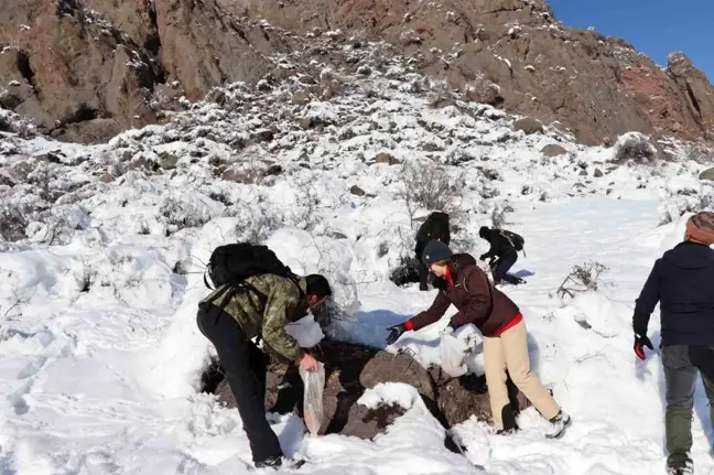 Oltu'da Doğaseverlerden Kekliklere Yem Desteği