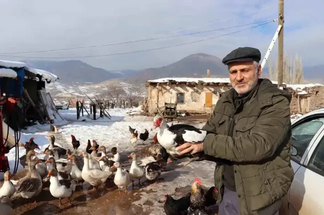 Bitkin Düşen Sibirya Kazı Oltu'da Misafir Edildi