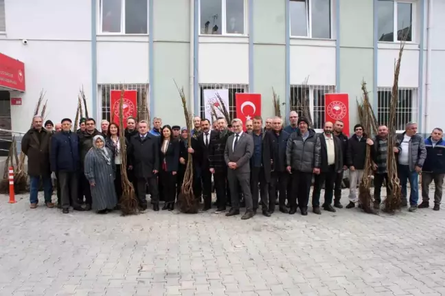 Bozüyük'te Çiftçilere Meyve Fidanı Dağıtıldı