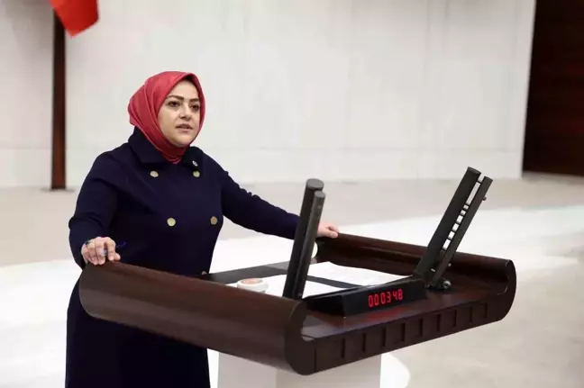 Denizli Milletvekili Sema Silkin Ün, Ulaşım Problemlerini Gündeme Getirdi