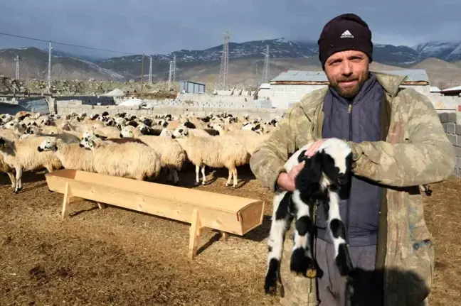 Erzincan Tulum Peyniri Üreticileri Fiyat Farkından Şikayetçi