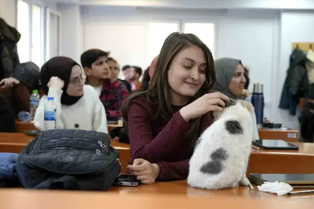 Adıyaman Üniversitesi'nin Sevimli Maskotu: Labne