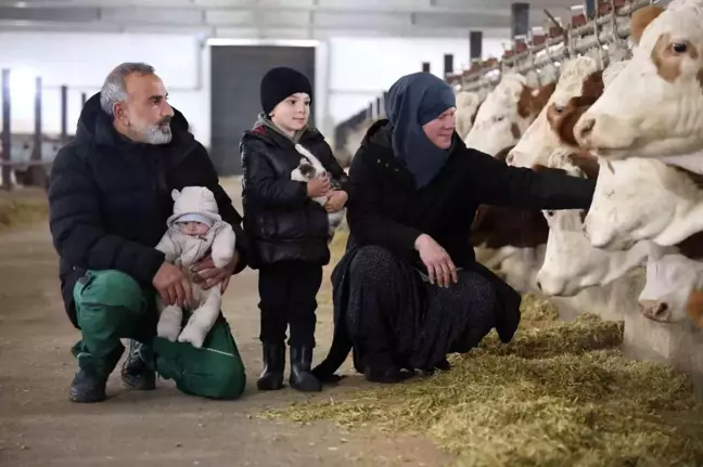 Almanya'dan Elazığ'a Dönüş: 432 Ton Süt Üreten Çiftlik