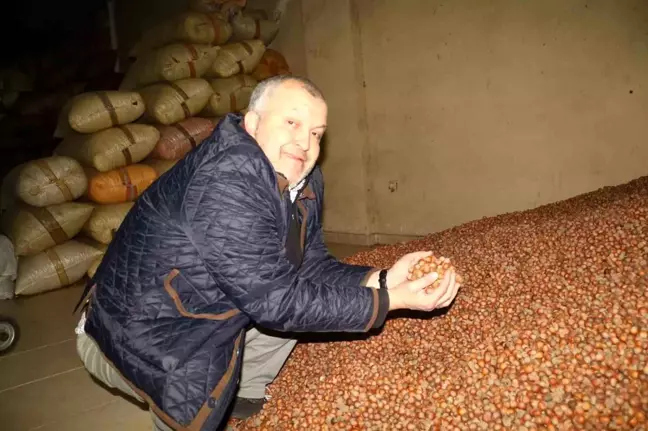 TMO'nun Fındık Alımını Durdurması, Piyasada Durgunluğa Yol Açtı