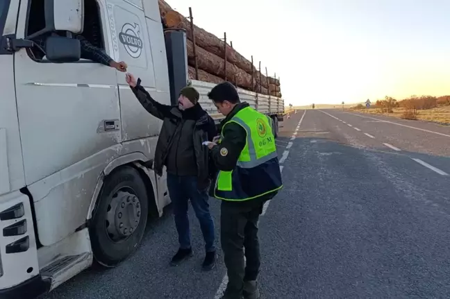 Düzce ve Bolu'da Orman Emvali Kontrolü