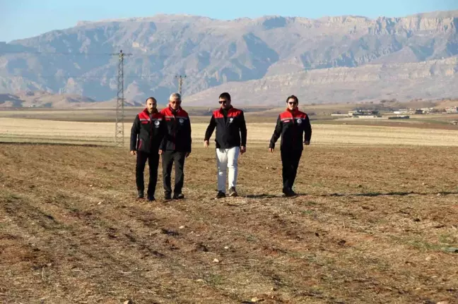 Şırnak'ta 1000 Kişiye İstihdam Sağlayacak Sera Projesi Onaylandı