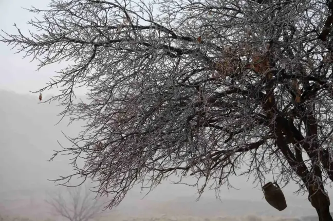 Kapadokya'da Olumsuz Hava Şartları Sıcak Hava Balon Turlarını İptal Etti