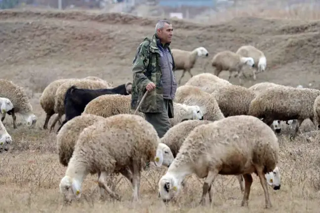 Kazım Bozkurt'un Doğa ile İç İçe Huzurlu Yaşamı